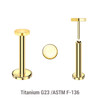 LLBXXDI3 Pack of 5 Gold PVD plated Titanium threadless push in labrets with 3mm flat round disk tops