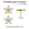 LTP05X11 Pack of 5 Gold PVD plated Titanium threadless push in labret top with a flower top with 5 CZ petals
