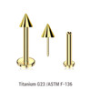 LLBXXC3 Pack of 10 Gold PVD plated Titanium threadless push in labrets, Cone size 3mm