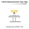 EDT14DI5 Pack of 10 Gold PVD plated Titanium G23 flat disk dermal anchor tops in size 5mm, internal thread size 1.2mm