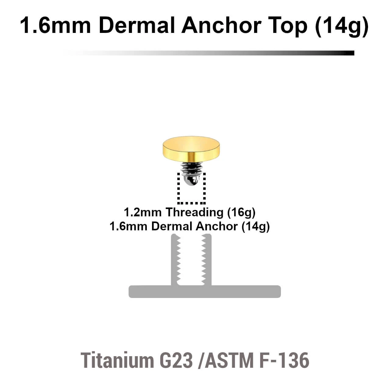 EDT14DI3 Pack of 10 Gold PVD plated Titanium G23 flat disk dermal anchor tops in size 3mm, internal thread size 1.2mm