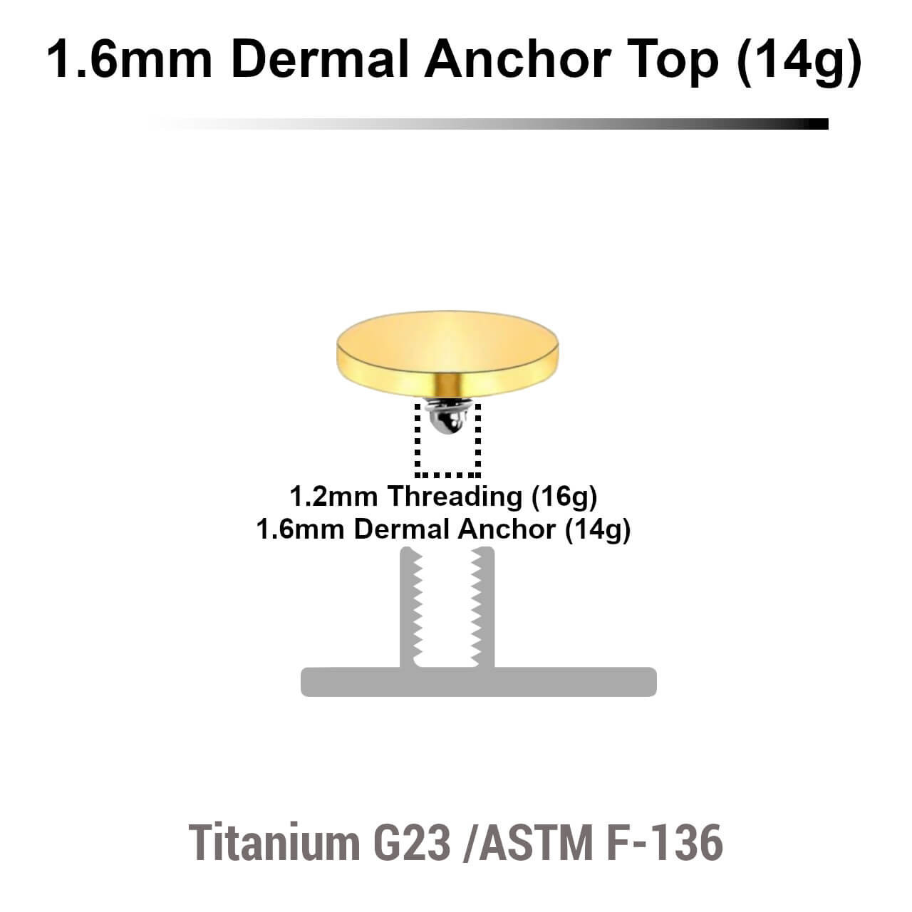 EDT14DI5 Pack of 10 Gold PVD plated Titanium G23 flat disk dermal anchor tops in size 5mm, internal thread size 1.2mm