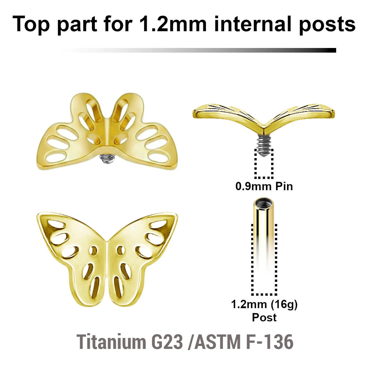 UTP12X36 Pack of 5 gold PVD plated titanium Internally threaded labret top with a filigree butterfly