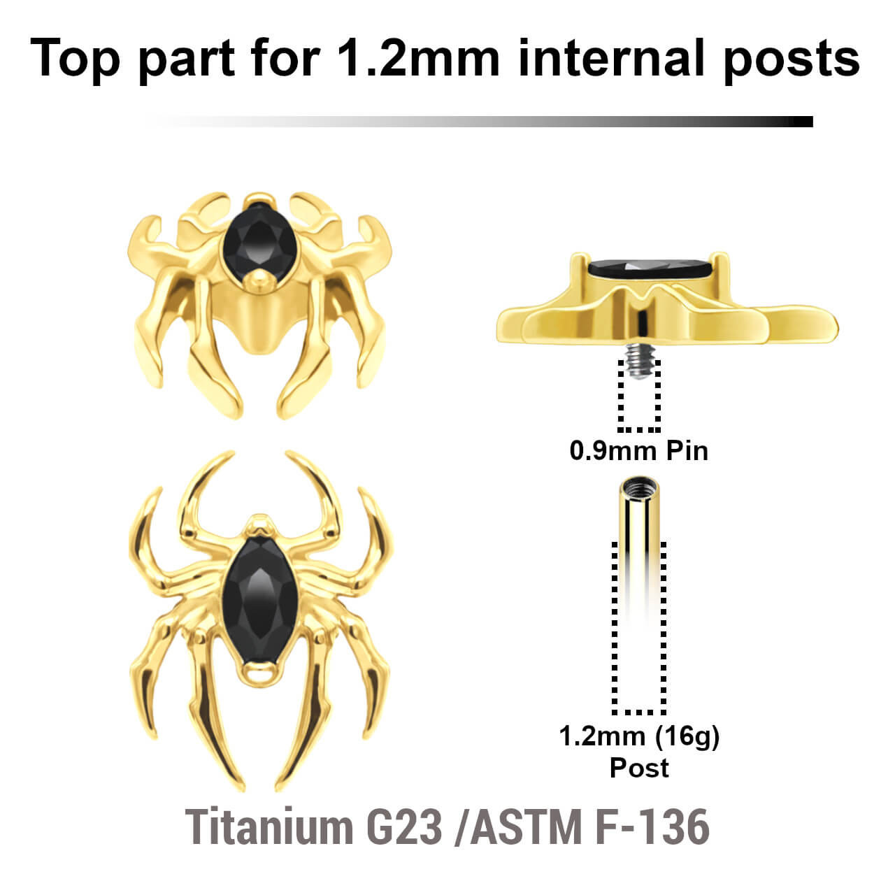 UTP12X38 Pack of 5 gold PVD plated titanium Internally threaded tops with a spider with black CZ abdomen