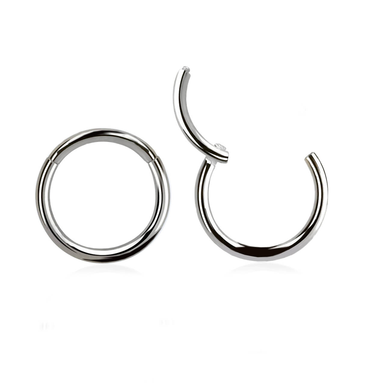 SSG01H Bulk Body Jewelry Pack of 10 surgical steel hinged segment rings, Thickness 1mm