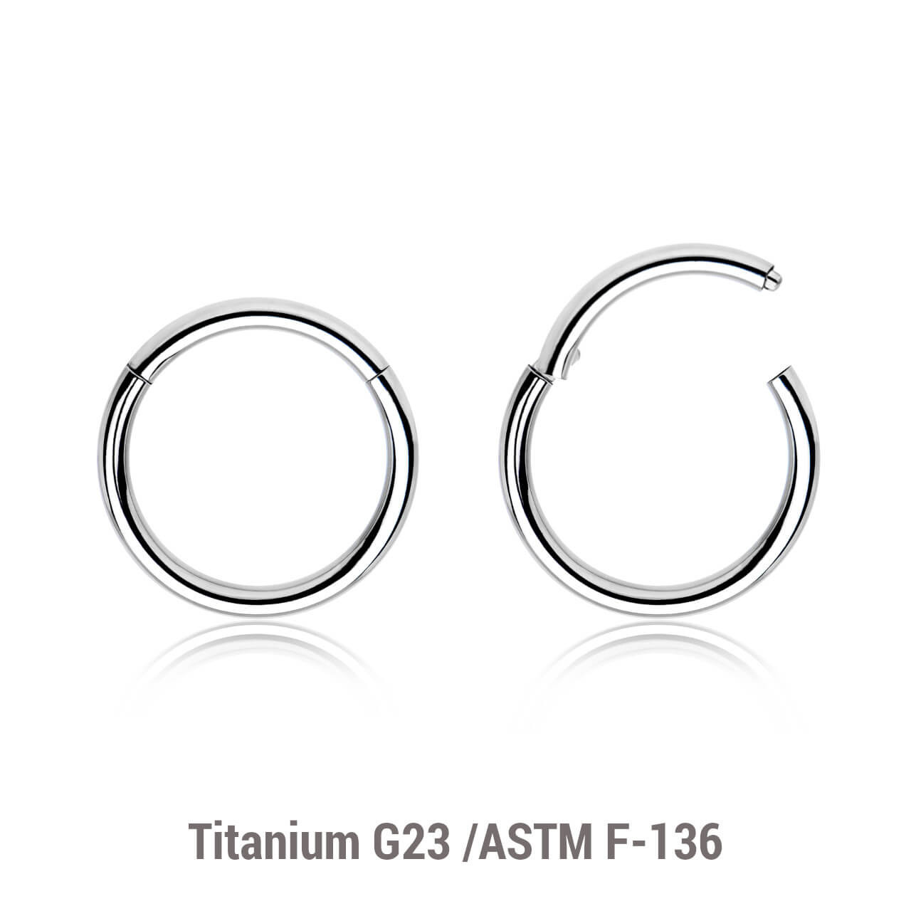 TSG01H Wholesale Pack of 10 Titanium G23 hinged segment rings, Thickness 1mm