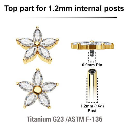 UTP12X11 Pack of 5 Gold PVD plated Titanium G23 Internally threaded labret tops with a flower top with 5 CZ petals, Thread size 0.9mm