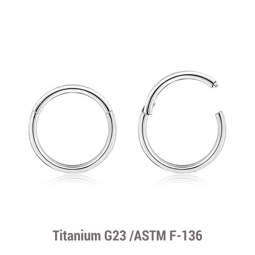 TSG12H Wholesale Lot of 10 Titanium G23 hinged segment rings, Thickness 1.2mm TSG12H Wholesale Lot of 10 Titanium G23 hinged segment rings, Thickness 1.2mm