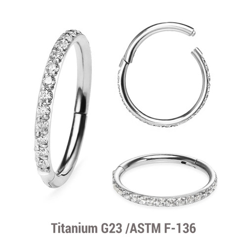 TSG12HCZA Wholesale Pack of 5 Titanium G23 hinged segment rings with outward facing prong set CZ on 3/4 of the circumference TSG12HCZA Wholesale Pack of 5 Titanium G23 hinged segment rings with outward facing prong set CZ on 3/4 of the circumference
