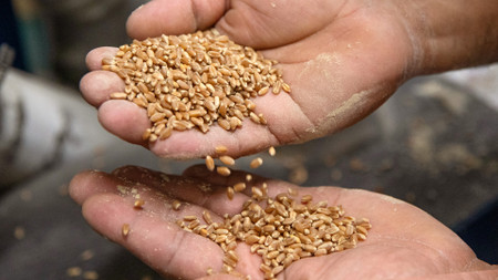 Whole Kernels