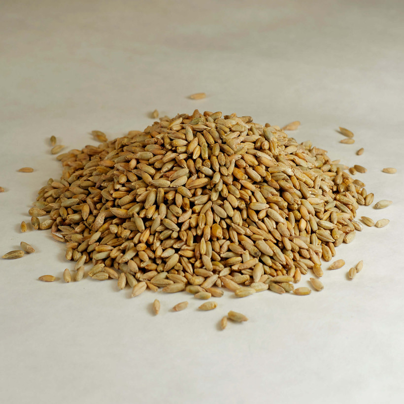 Organic Rye Berries