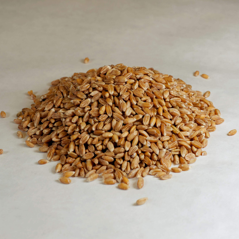 Organic Spelt Berries