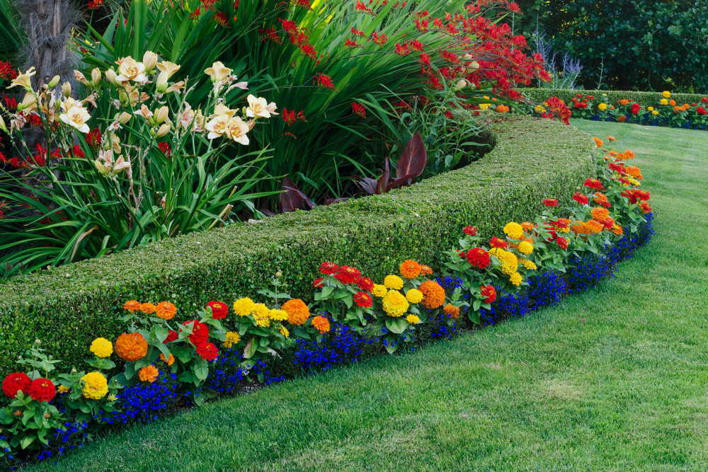 How to Create a Stunning Color-Coordinated Garden: A Complete Guide