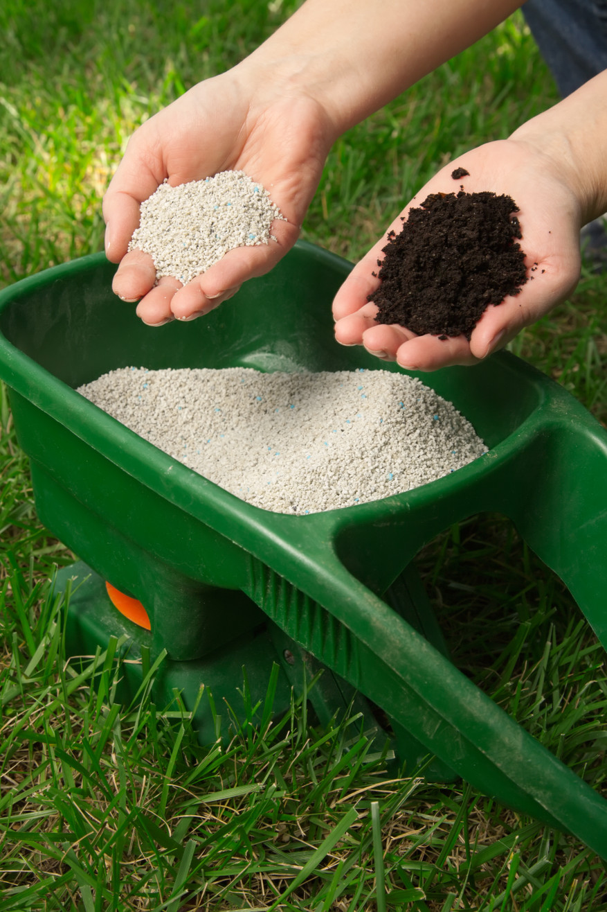 Step 3 Fertilizer in September for the Win!