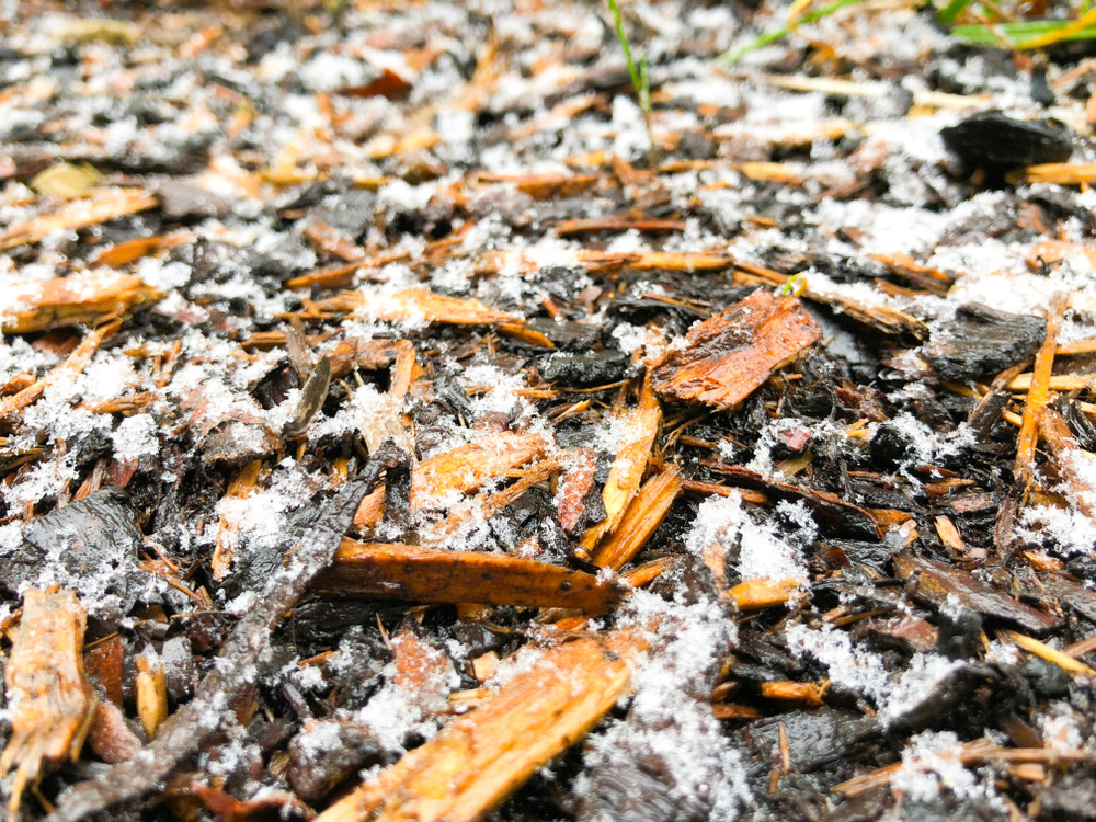 Best Winter Mulch Varieties for Ohio