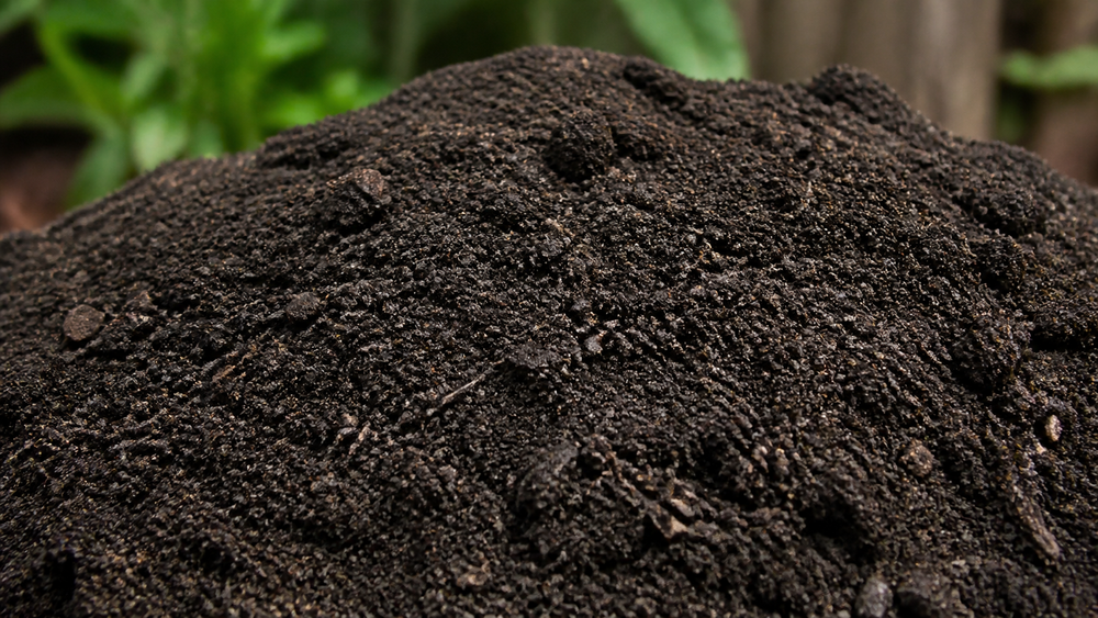 Understanding the Different Types of Topsoil: A Comprehensive Guide 