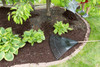 Mulch a Fall Refresh – Reinvigorating Your Landscape!