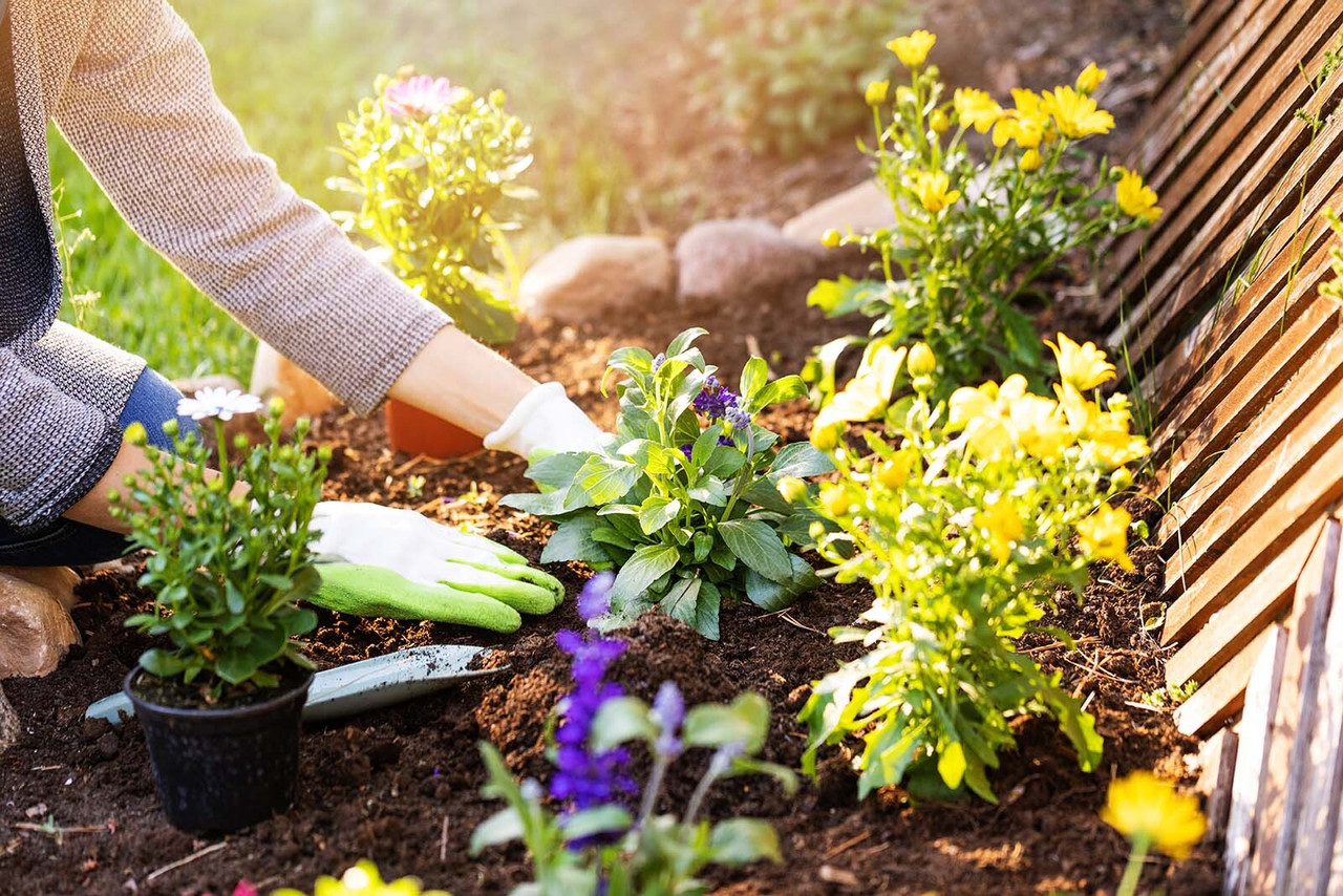 Soil Guide