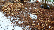 Best Winter Mulch Varieties for Ohio