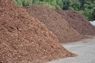 Mulch Matters: Choosing the Right Mulch for Your Landscape