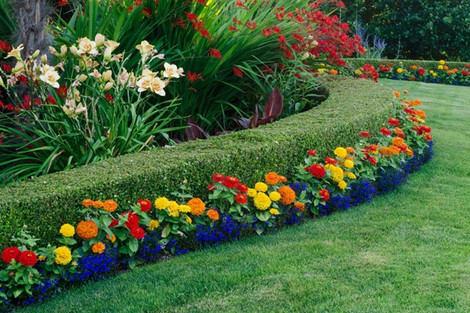 How to Create a Stunning Color-Coordinated Garden: A Complete Guide