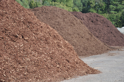 Mulch Matters: Choosing the Right Mulch for Your Landscape