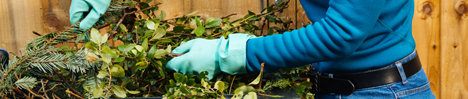 Yard Waste Removal in Northeastern Ohio