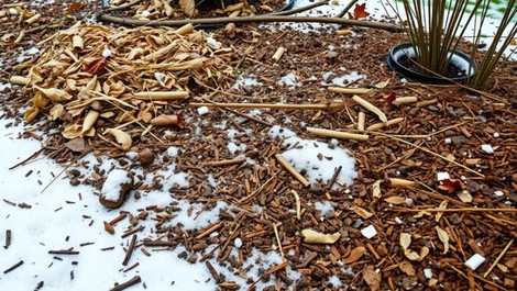 Best Winter Mulch Varieties for Ohio