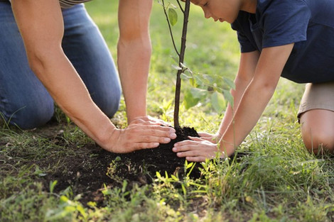 Build Dad’s Dream Backyard: A Father’s Day the Whole Family Can Dig Into   