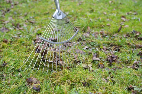 Spring Lawn and Landscape Prep: What You Need to Know 