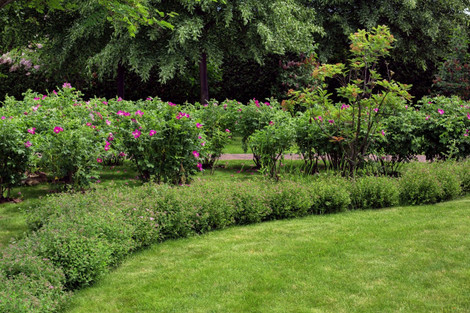 Sustainable Landscaping: How Kurtz Bros. is Leading the Charge in Ohio