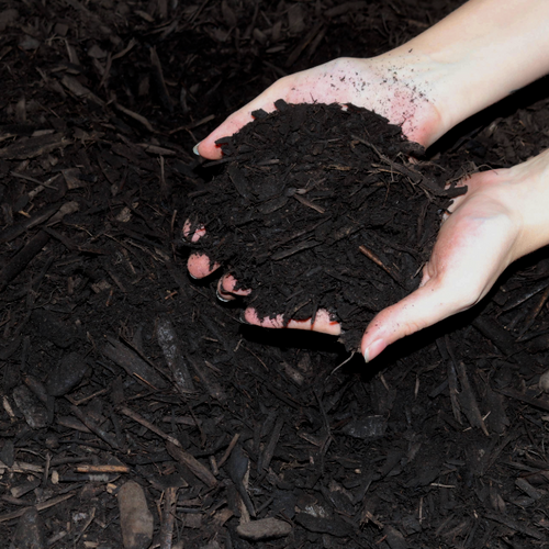 Classic Hardwood Mulch