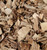Wood Chip Mulch