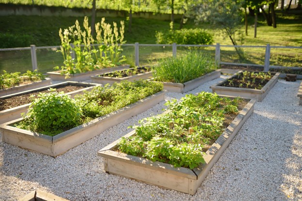 Building a Sustainable Garden
