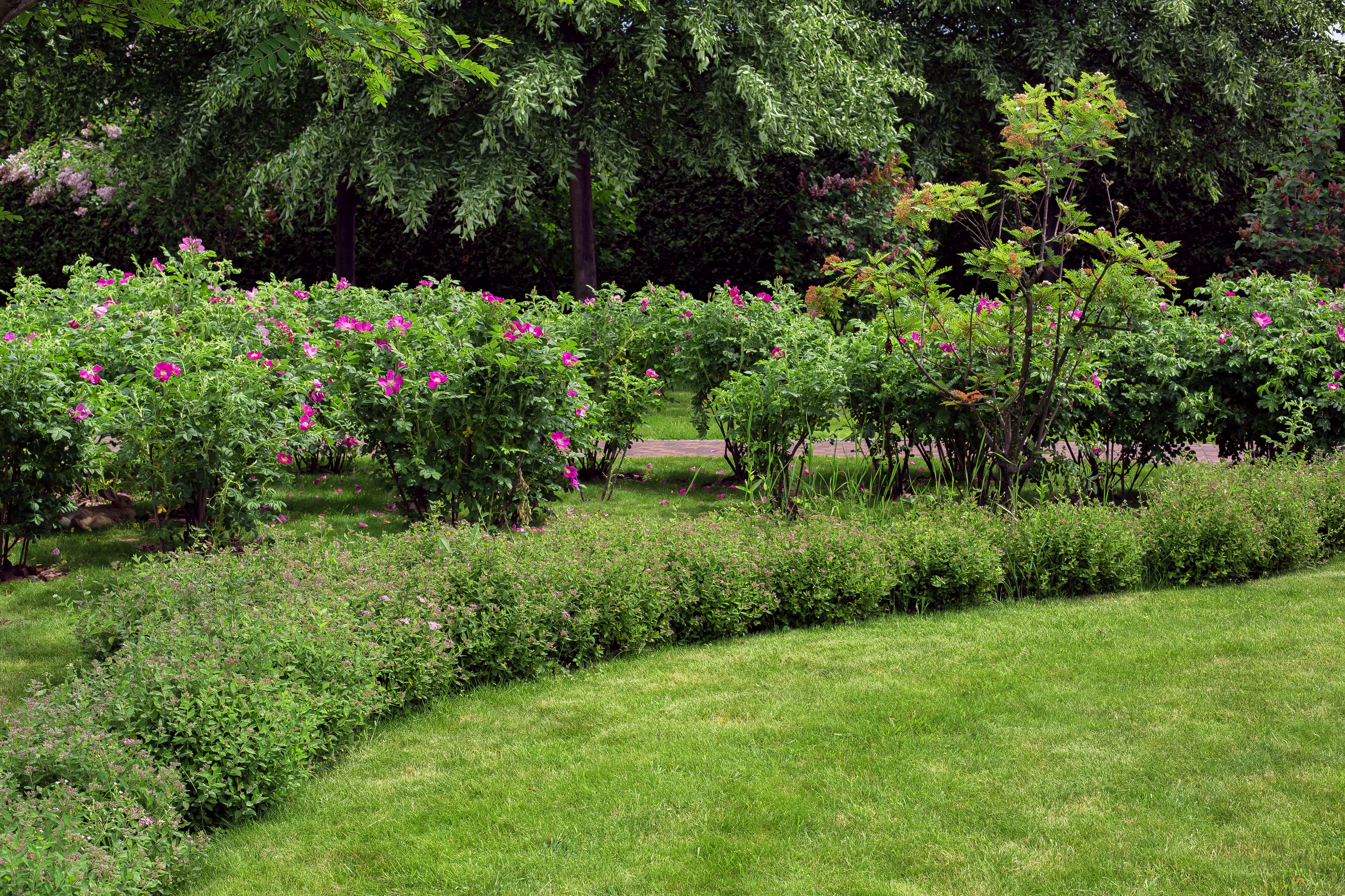 Sustainable Landscaping: How Kurtz Bros. is Leading the Charge in Ohio