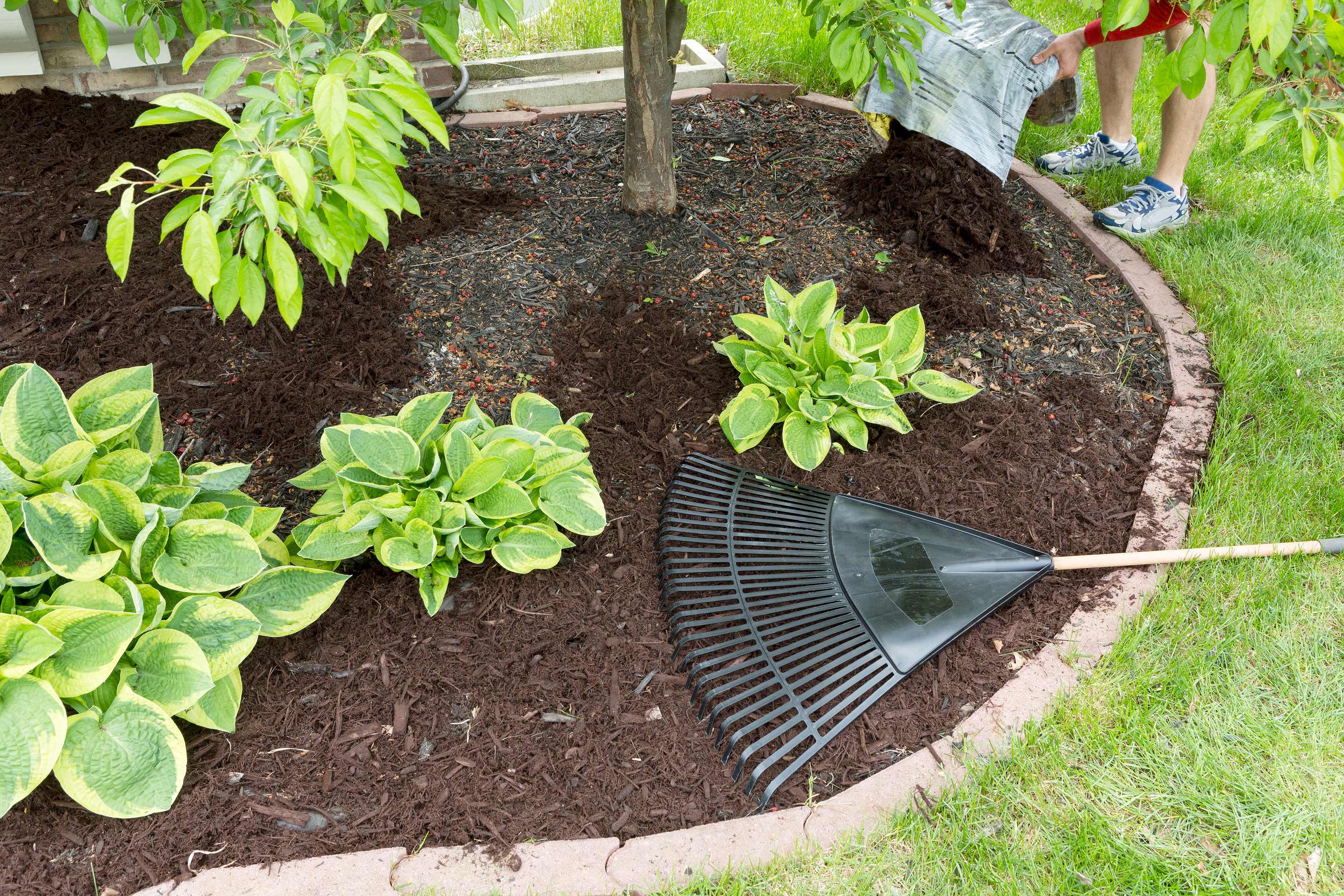 Mulch a Fall Refresh – Reinvigorating Your Landscape!