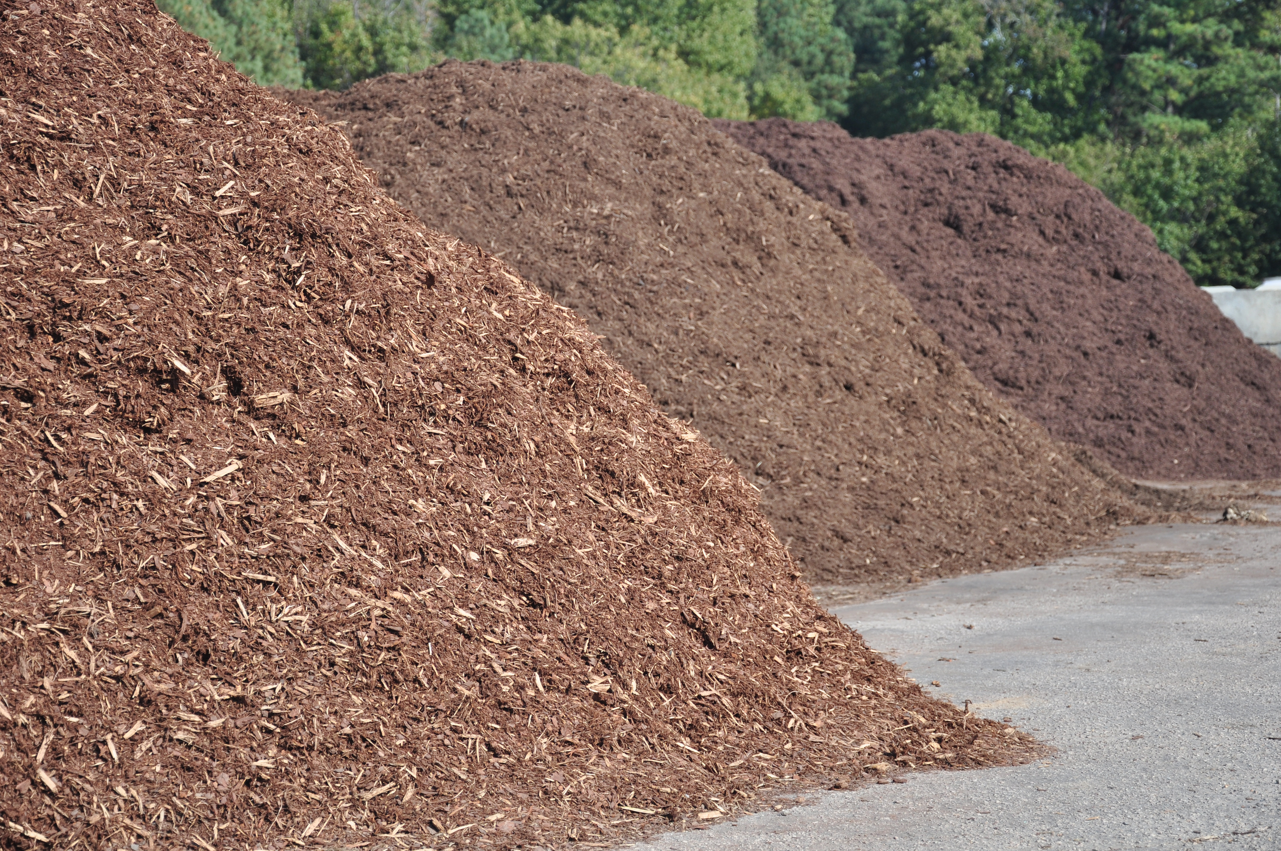 Mulch Matters: Choosing the Right Mulch for Your Landscape