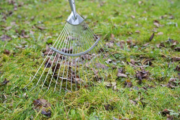 Spring Lawn and Landscape Prep: What You Need to Know 