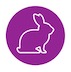 web-logo-rabbit.jpg