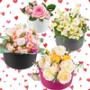 10 Boxes -  Round Flower Boxes - 5" Diameter Pewter
