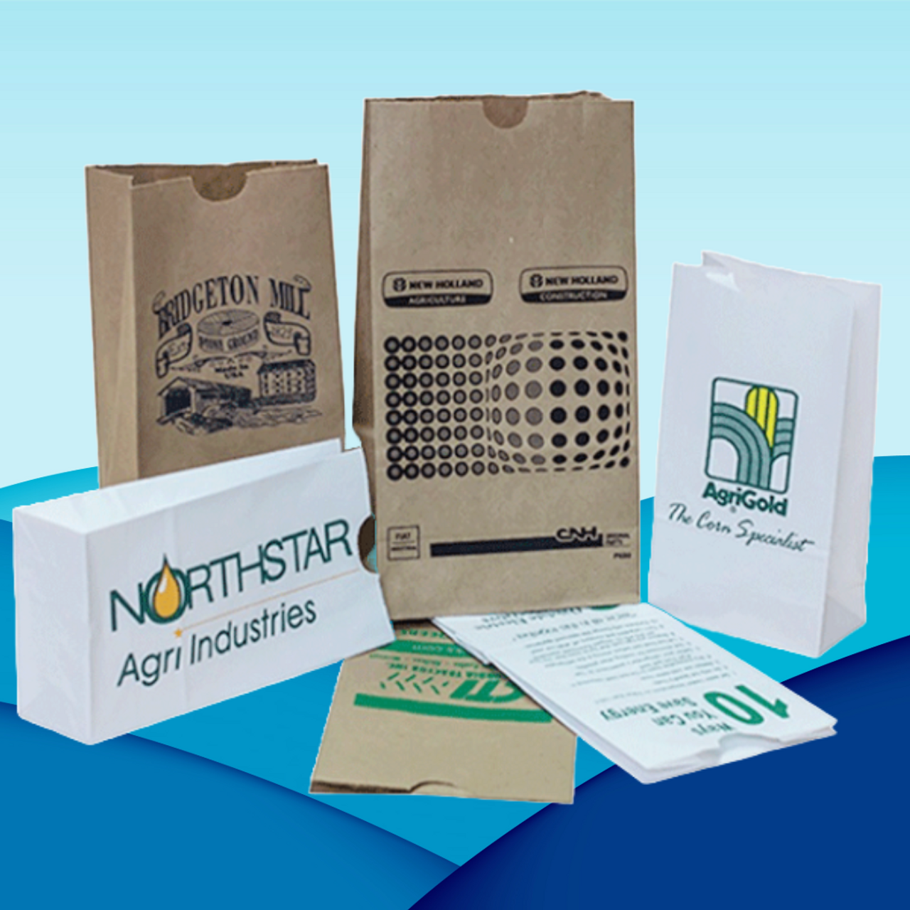 Custom Printed SOS Paper Bags 