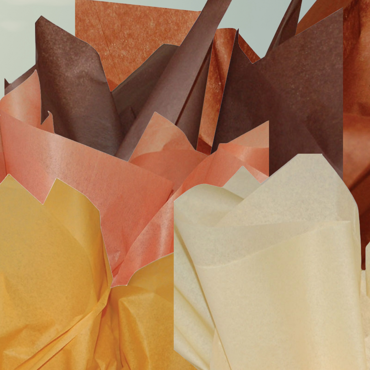 Premium Brown or Cream Tissue Shades