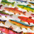 Rainbow Trout Pattern Tissue Paper - 20" x 30" Sheets - 240 / Pack