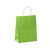 Paper Shopping Bags - Bright Green 8"x 4" x 10" - 250 Bags