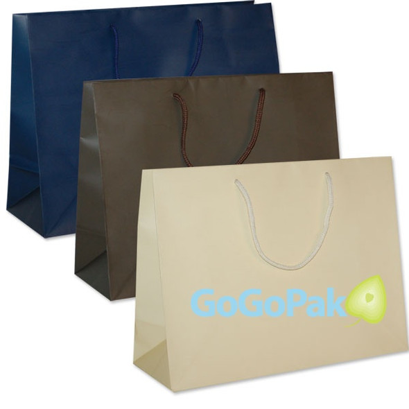 JUNIOR MEDIUM Matte Laminated Eurotote Bags13" x 5" x 10"