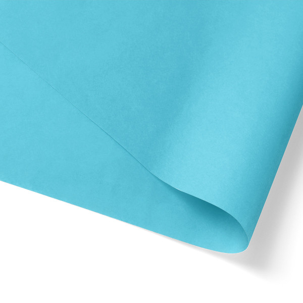 Robin Egg Blue Tissue Paper - 480 Sheets/Ream