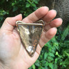 Sharks Tooth Belt Buckle 1.5 inch Bronze