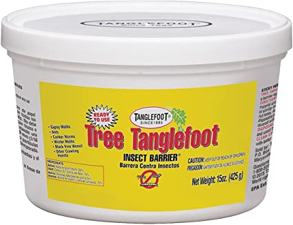 Tanglefoot Tree Tanglefoot Insect Barrier, 15 oz