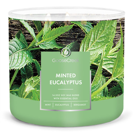 Goose Creek Minted Eucalyptus Large 3-Wick Candle