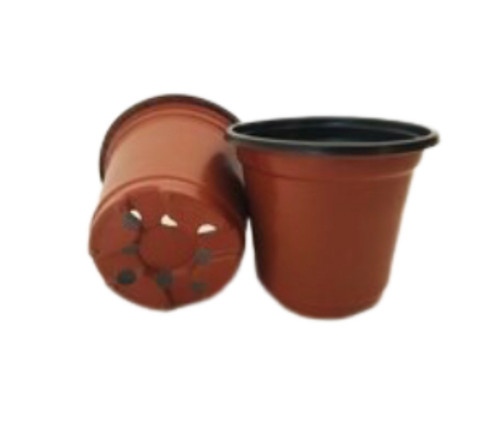 Plant Pot